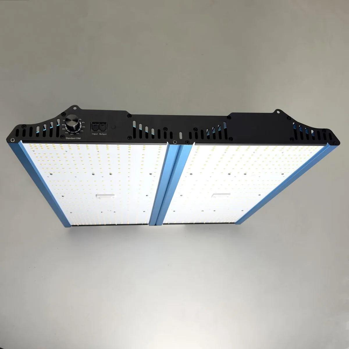 Draufsicht auf die CASSY LED Pflanzenlampe - blau, ein rechteckiges Growlampen-Panel von CASSY LED mit Bedienknopf, belüftetem Gehäuse und dimmbaren Lichteinstellungen für eine individuell anpassbare Pflanzenbeleuchtung.