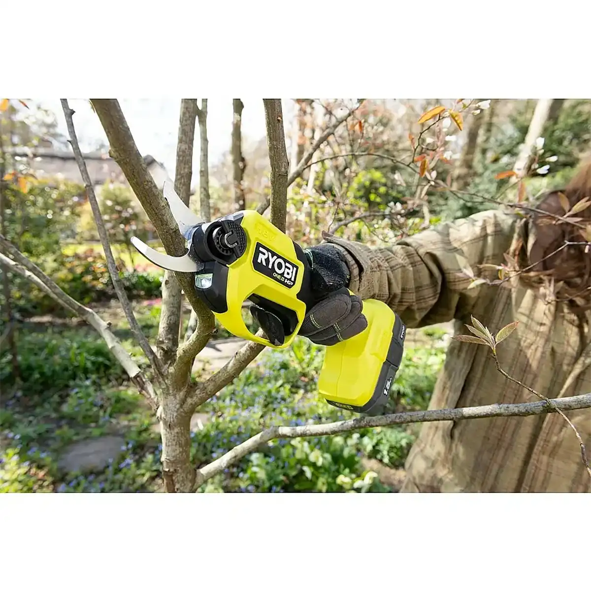 Eine Person benutzt eine grüne Ryobi HP RY18SCXA-0 Akku-Gartenschere von Ryobi, um einen Baumast im Garten zu schneiden.