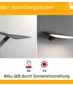 Paulmann Kiran Außenleuchte - schwarz: Energieeffiziente Solar-Wandleuchte mit Bewegungsmelder, benötigt nur 1 Stunde Sonnenlicht für 8 Stunden Licht. Mit deutscher Beschriftung. Marke: Paulmann.