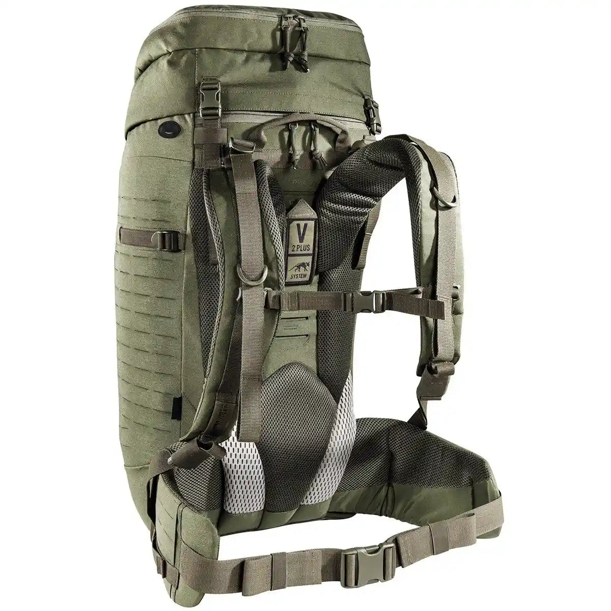 Der Rucksack „Tasmanian Tiger TT Modular Pack 45 Plus“ in Grün verfügt über gepolsterte Schultergurte, ein Netz-Rückenteil, verstellbare Schnallen und ein vielseitiges MOLLE-System – ideal als Einsatzrucksack.