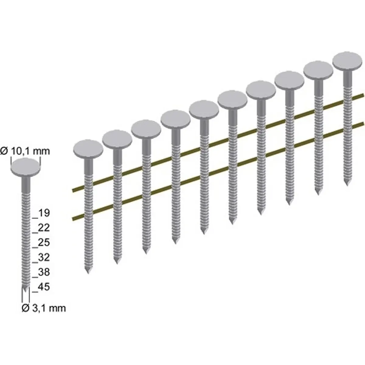 Schema mit PREBENA-Nägeln (19-45 mm lang, 3,1 mm dick, flache Köpfe), ideal für die Verwendung mit dem Prebena 4X-CNZ45 Druckluftnagler - grün.