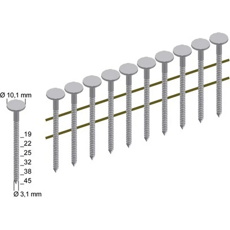 Schema mit PREBENA-Nägeln (19-45 mm lang, 3,1 mm dick, flache Köpfe), ideal für die Verwendung mit dem Prebena 4X-CNZ45 Druckluftnagler - grün.