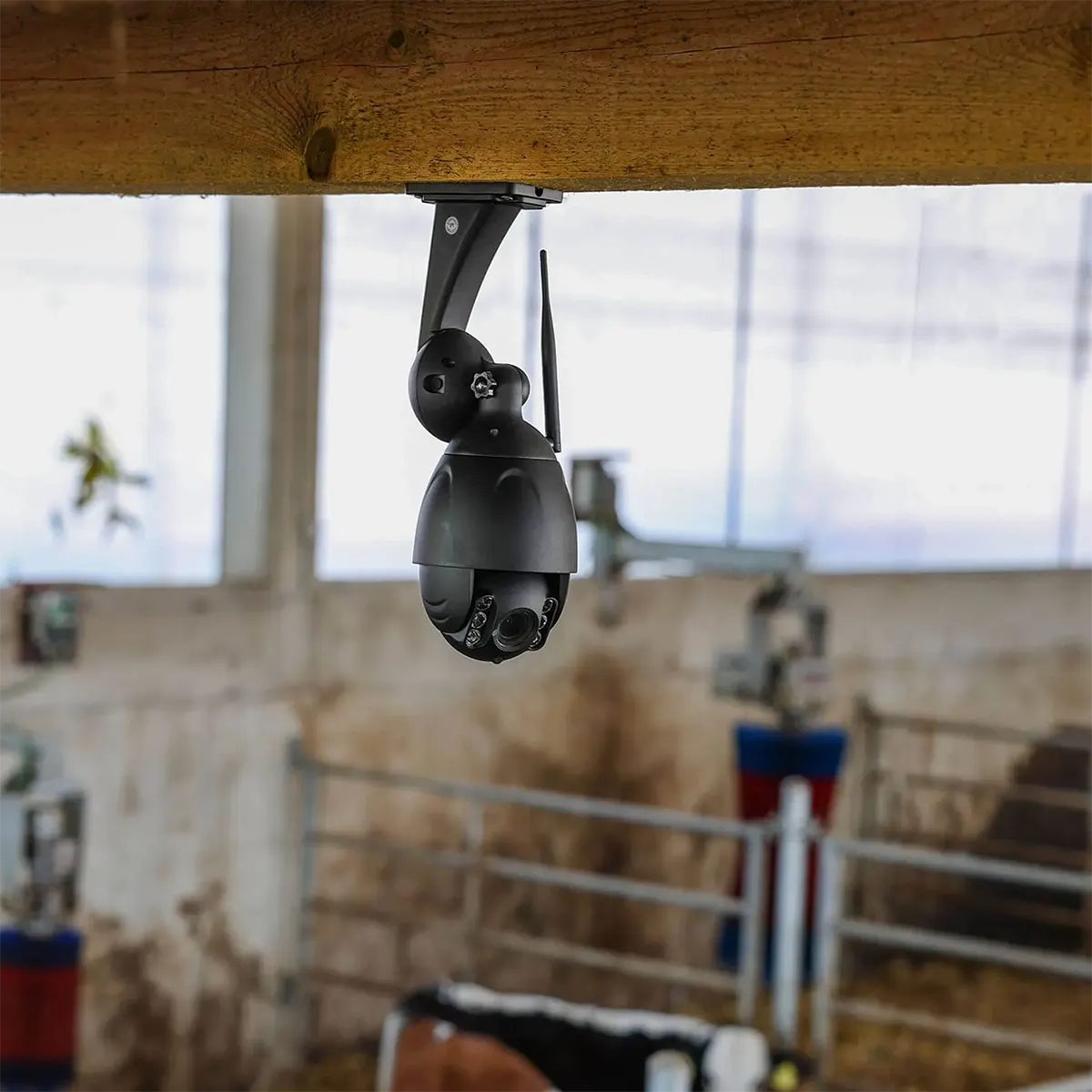 Die Kerbl IPCam 10809 Sicherheitskamera - schwarz, eine WLAN-Kamera mit Nachtsicht, ist an einem Holzbalken in einer Scheune installiert, in der Vieh und landwirtschaftliche Geräte sichtbar sind.