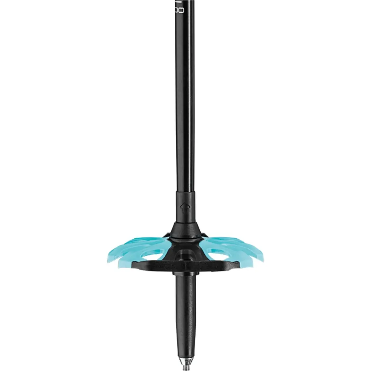Die LEKI Bernina Lite 2 Skitourenstöcke in schwarz mit blauem Puderkorb, spitzer Spitze und Aergon Air Compact Griff werden vor einem weißen Hintergrund gezeigt.