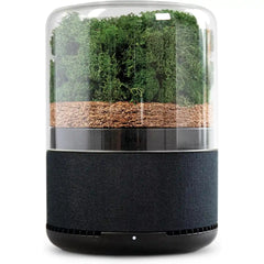 Purificateur d’air naturel Briiv