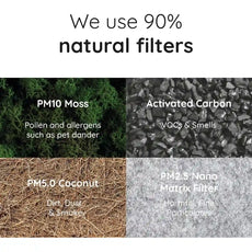 Die Infografik stellt den Briiv Natürlicher Luftreiniger von Briiv vor und hebt die Verwendung von Moos (Filtersystem aus Moos), Aktivkohle, Kokosnuss und einem Nano-Matrix-Filter als nachhaltige Luftfilter-Lösungen hervor.