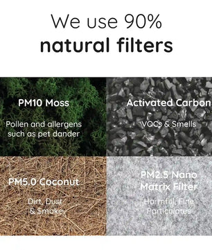Die Infografik stellt den Briiv Natürlicher Luftreiniger von Briiv vor und hebt die Verwendung von Moos (Filtersystem aus Moos), Aktivkohle, Kokosnuss und einem Nano-Matrix-Filter als nachhaltige Luftfilter-Lösungen hervor.