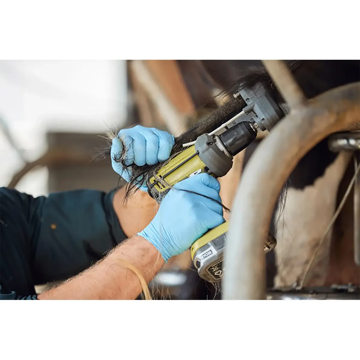 Eine Person mit blauen Handschuhen benutzt einen Kerbl Titanium 18235 Kuhschwanztrimmer (schwarz) von Kerbl zum Trimmen eines Pferdehufs.