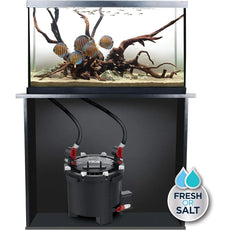 Ein Aquarium mit gestreiften Fischen und Treibholz, unter dem sich der Fluval FX4 Aquarienfilter (2650 l/h, für Becken bis 1000 l, 30 W) befindet, geeignet für Süß- oder Meerwasseranwendungen.